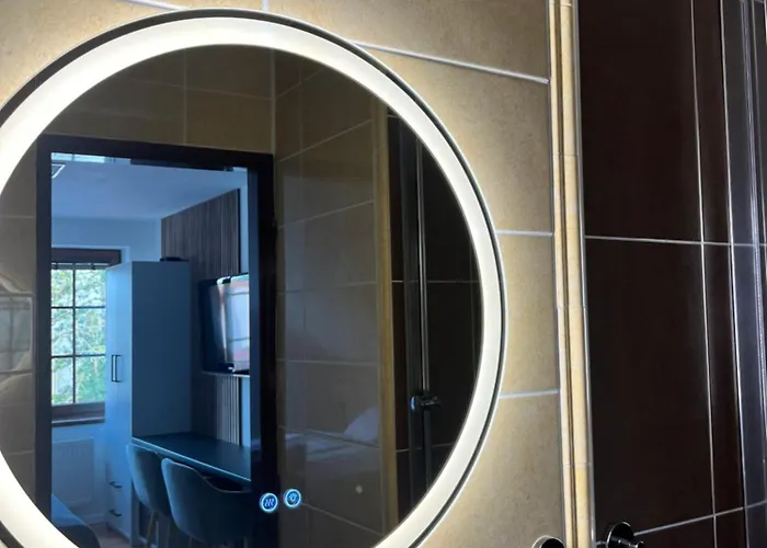 게스트하우스 U Kastelana 3*